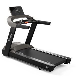   Vision Fitness T600